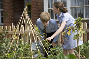 South Farnham School